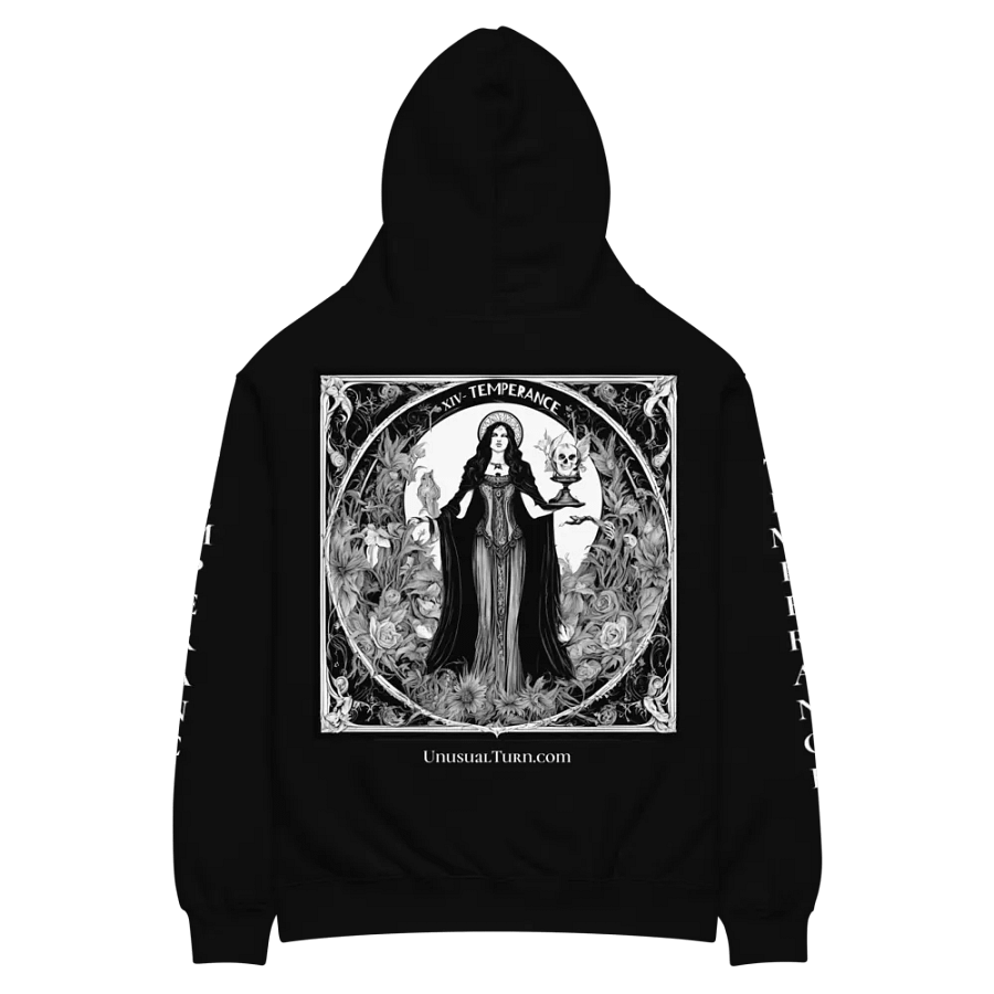 14 - Temperance Oversized Hoodie product image (2)