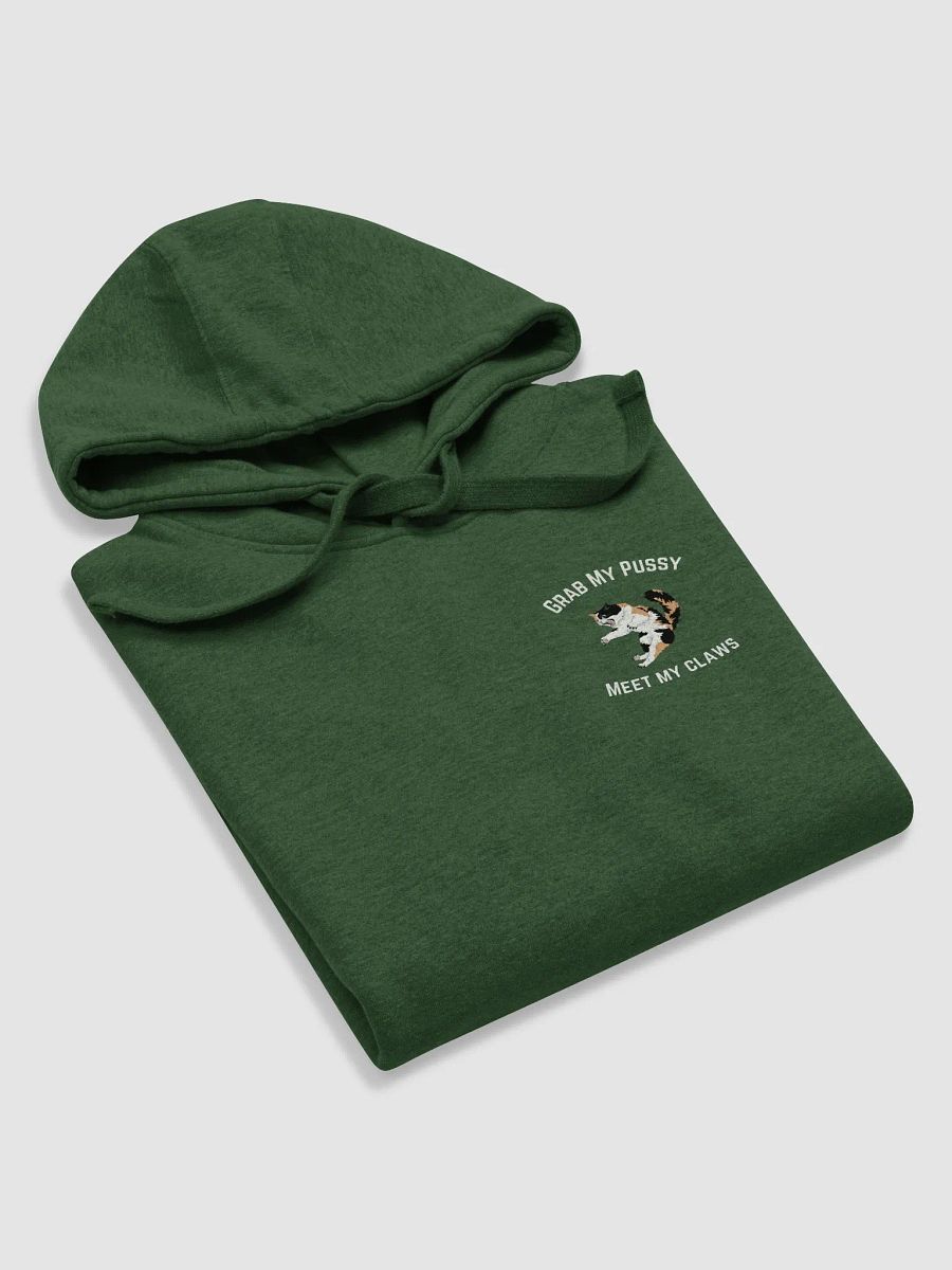 My Pussy My Claws Two Sided Hoodie product image (5)