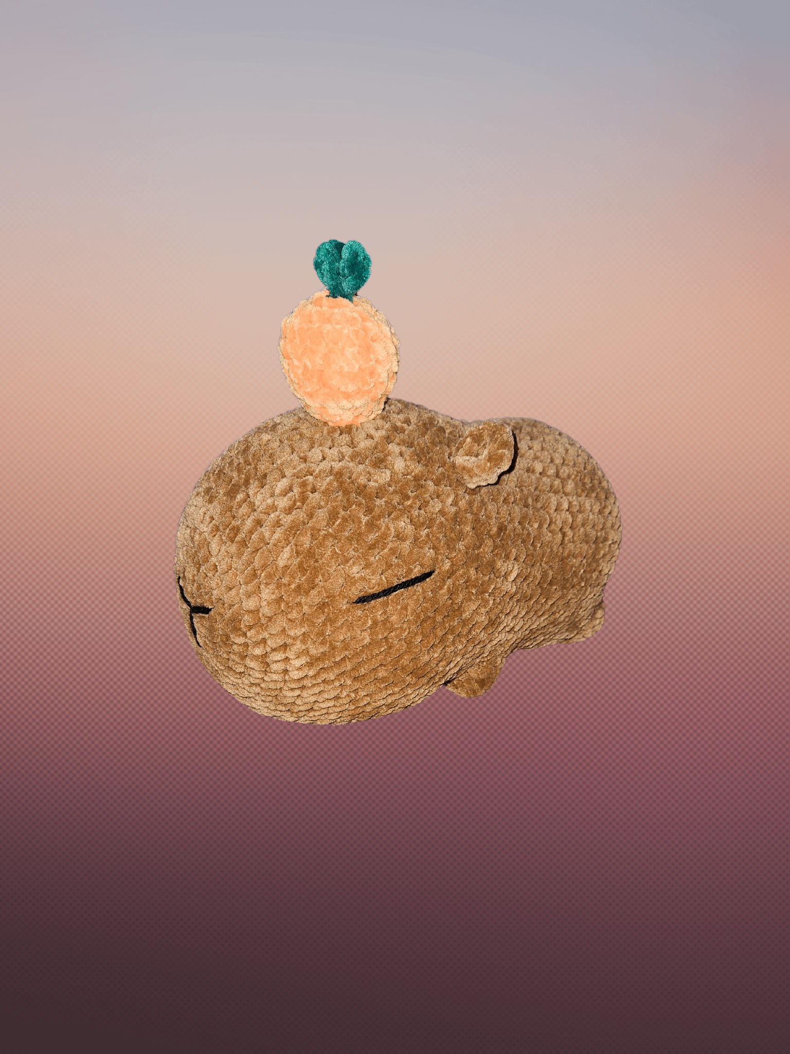 Capybara product image (1)