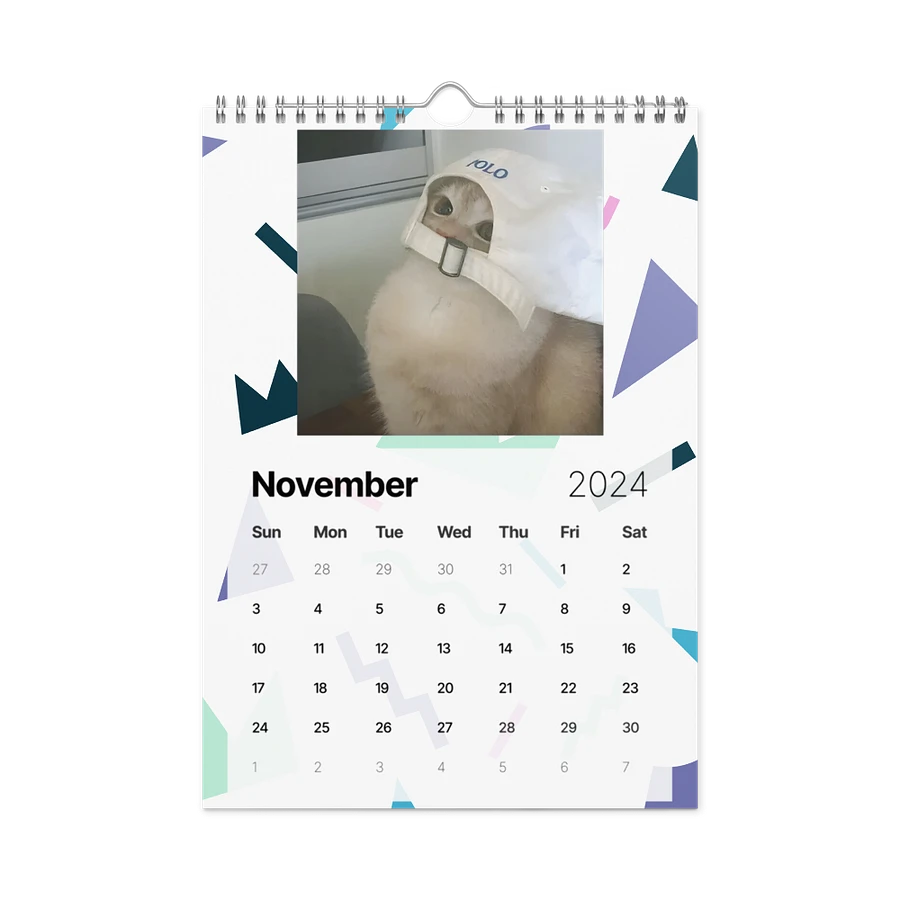 Wall Calendar (2024): Meme Cats product image (15)