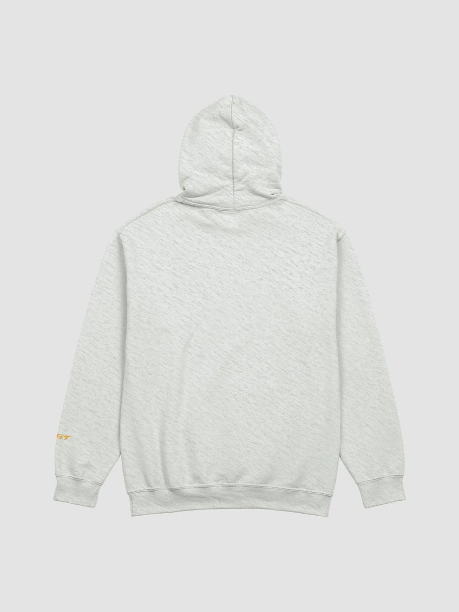 GULAG CHAMPION HOODIE product image (11)