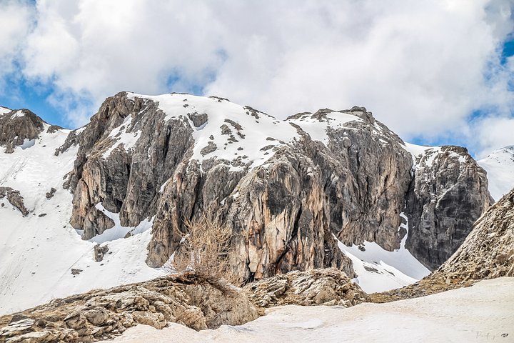 Raw Majesty – Col de la Bonette - Alpes Française product image (1)