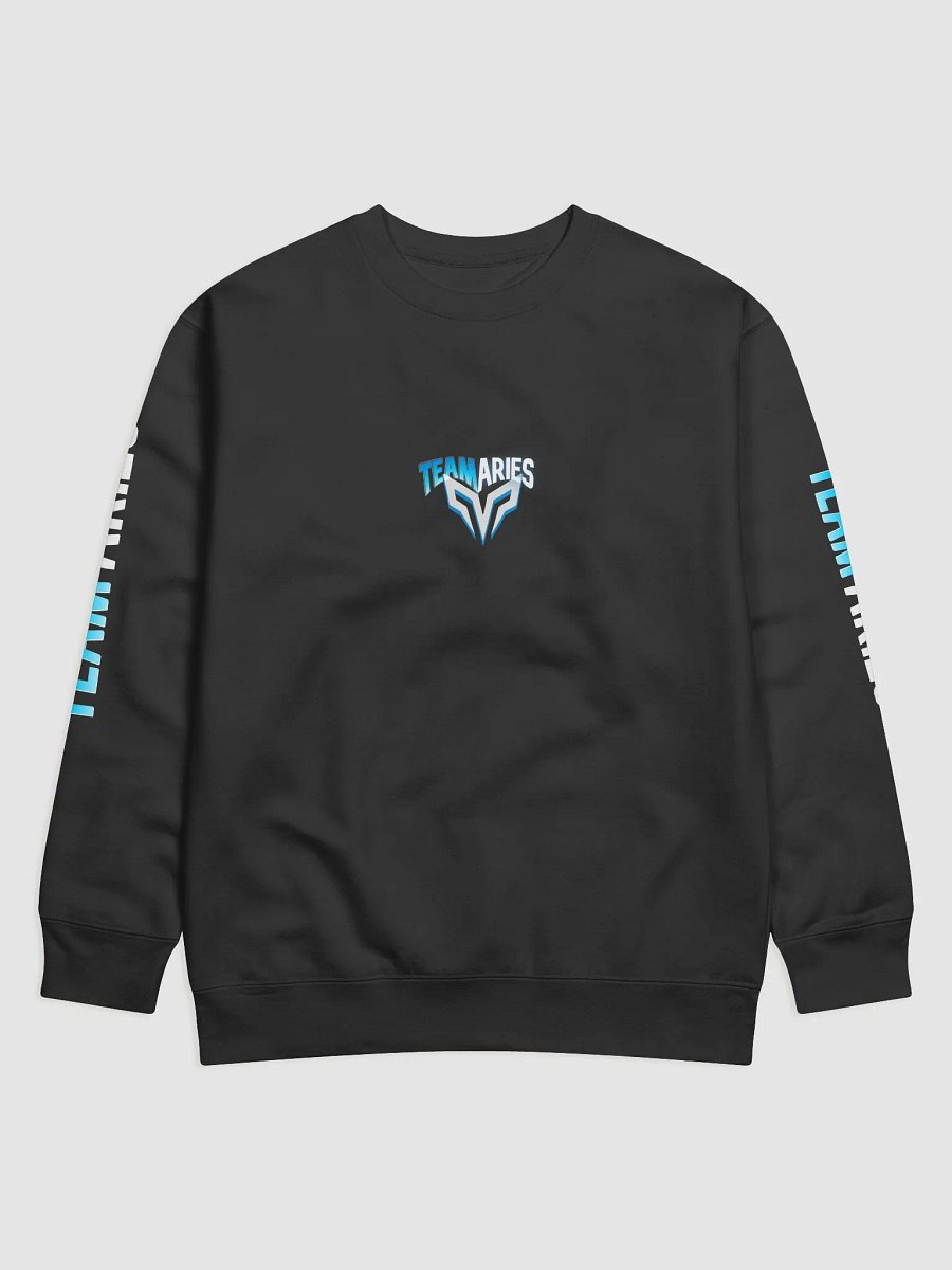 Team Aries Sweater product image (2)