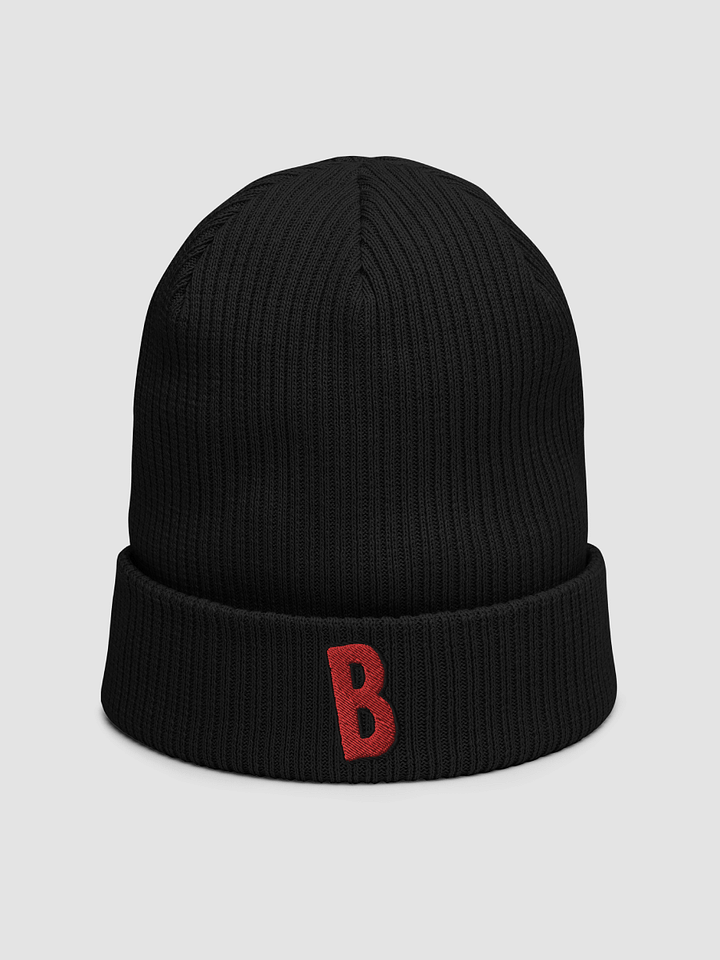 bisnap Logo Beanie product image (1)