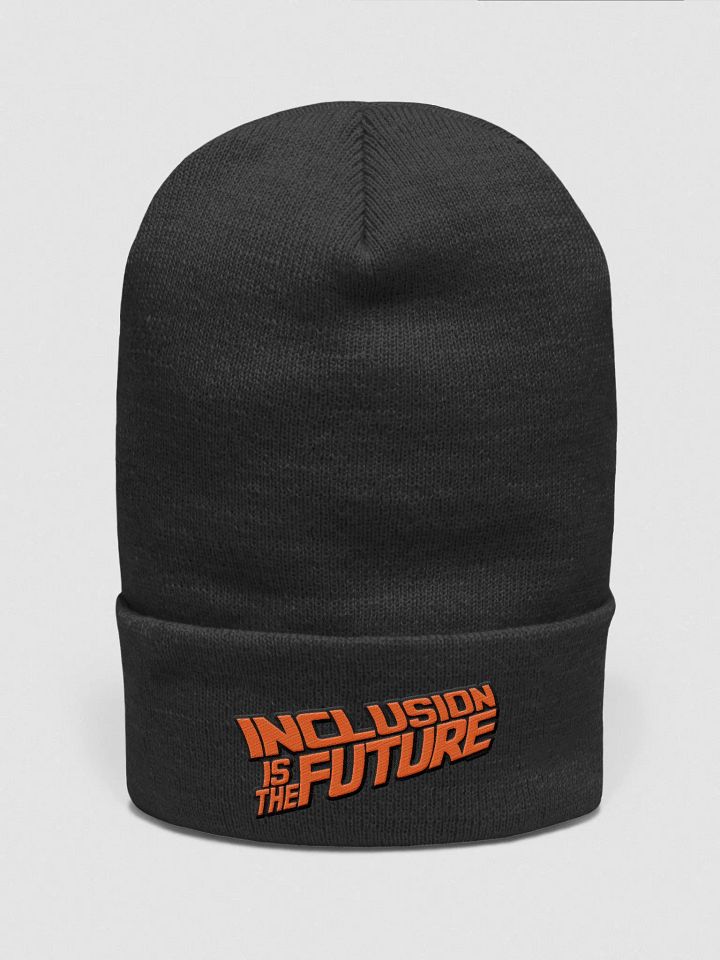 Inclusion is the Future product image (2)