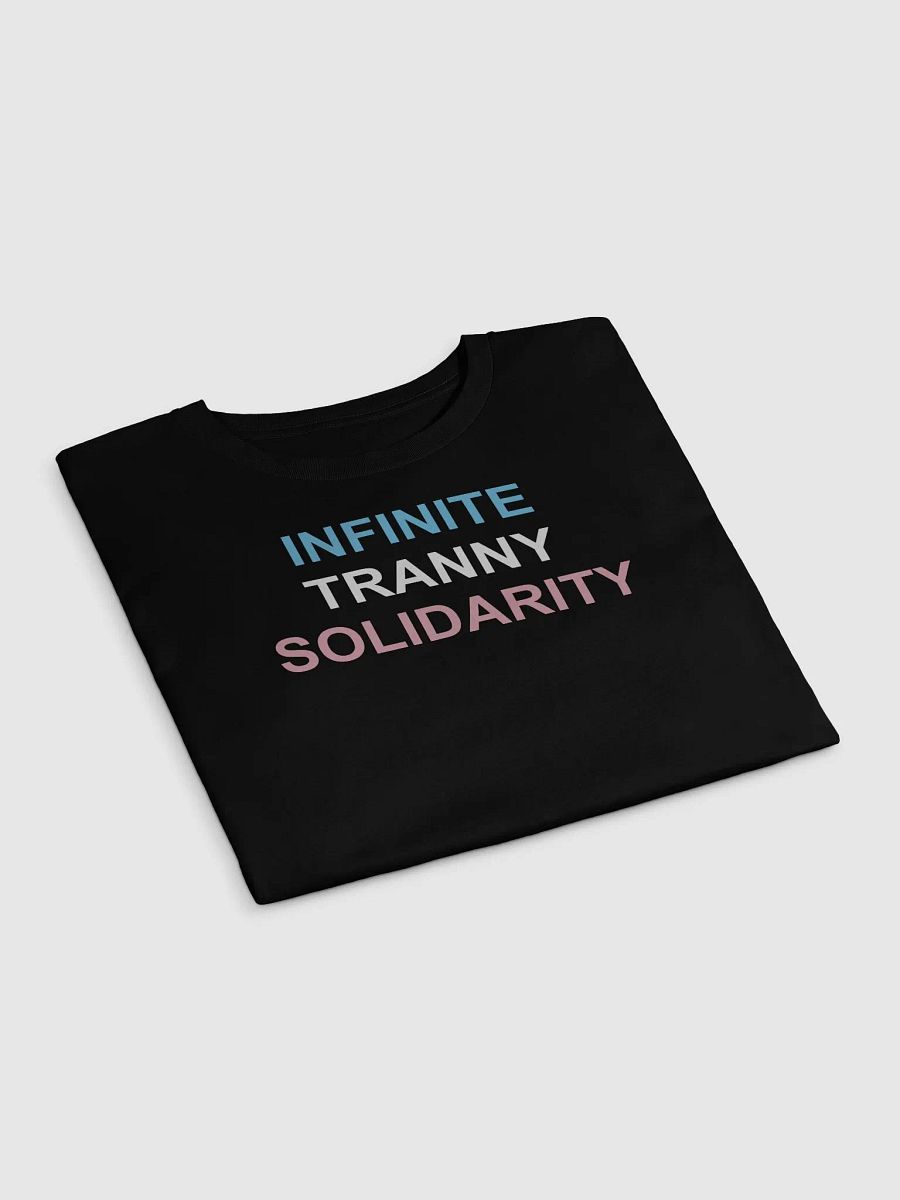 INFINITE TRANNY SOLIDARITY Crop Top product image (16)
