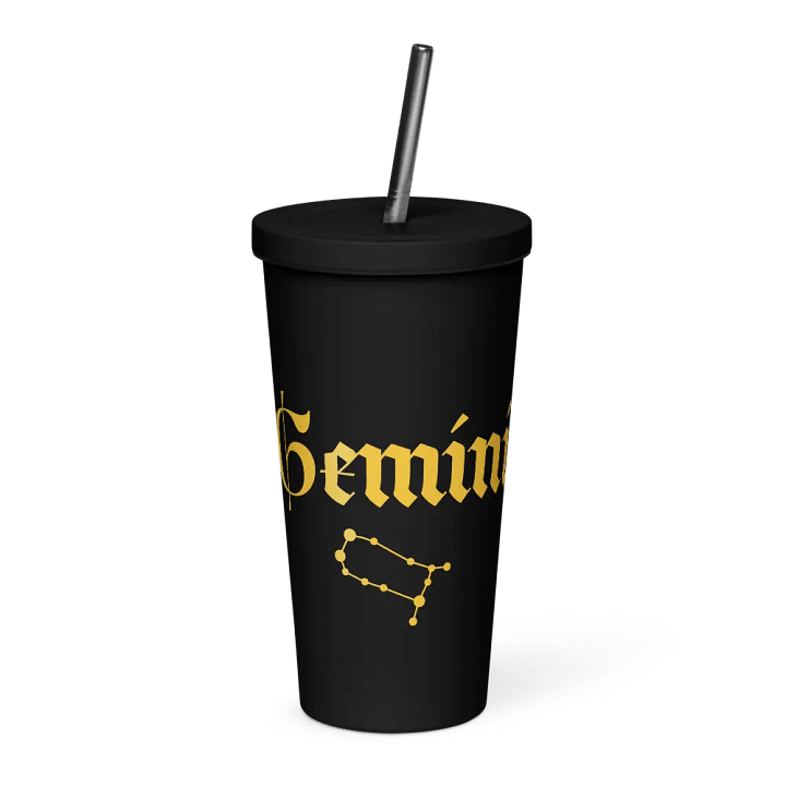 Gemini Zodiac Insulated Tumbler product image (1)