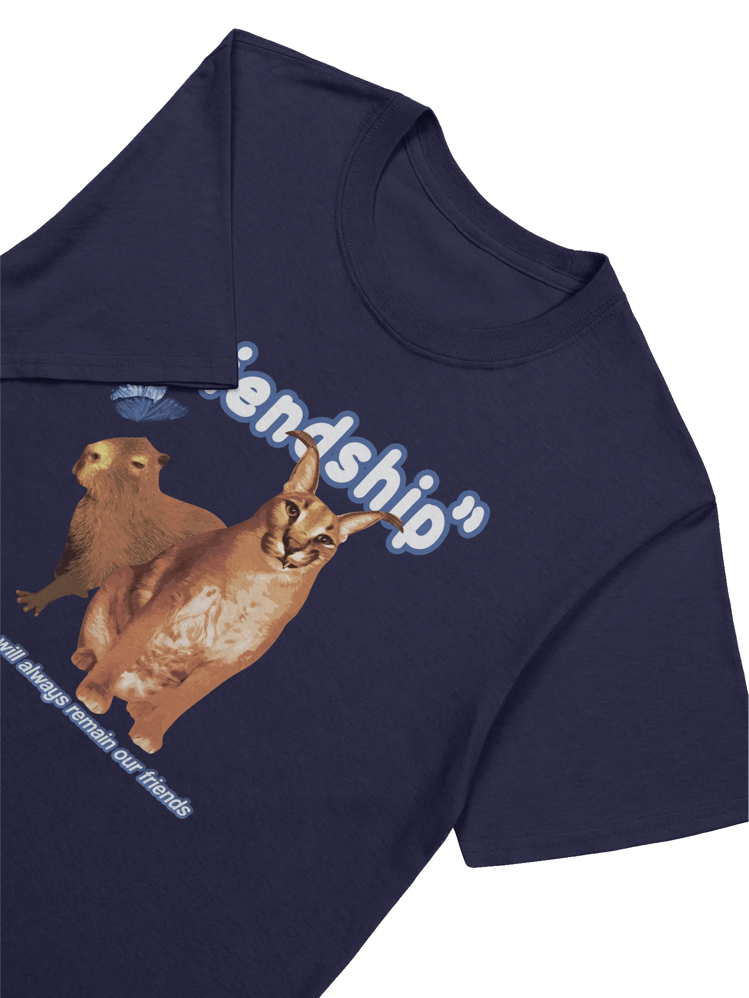 "Friendship" Caracal Gosha and Capybara T-Shirt product image (3)