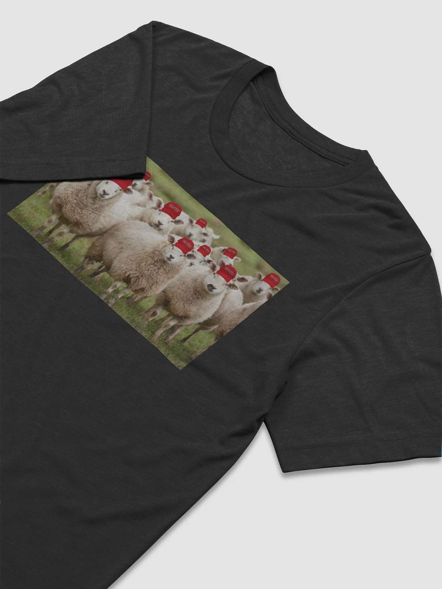 A Trump Rally! product image (3)
