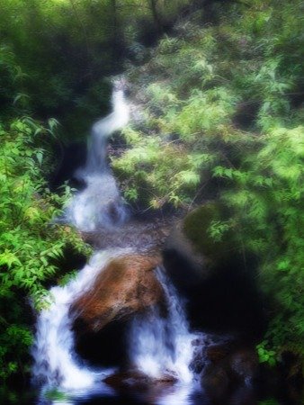 Waterfall in Woods product image (1)