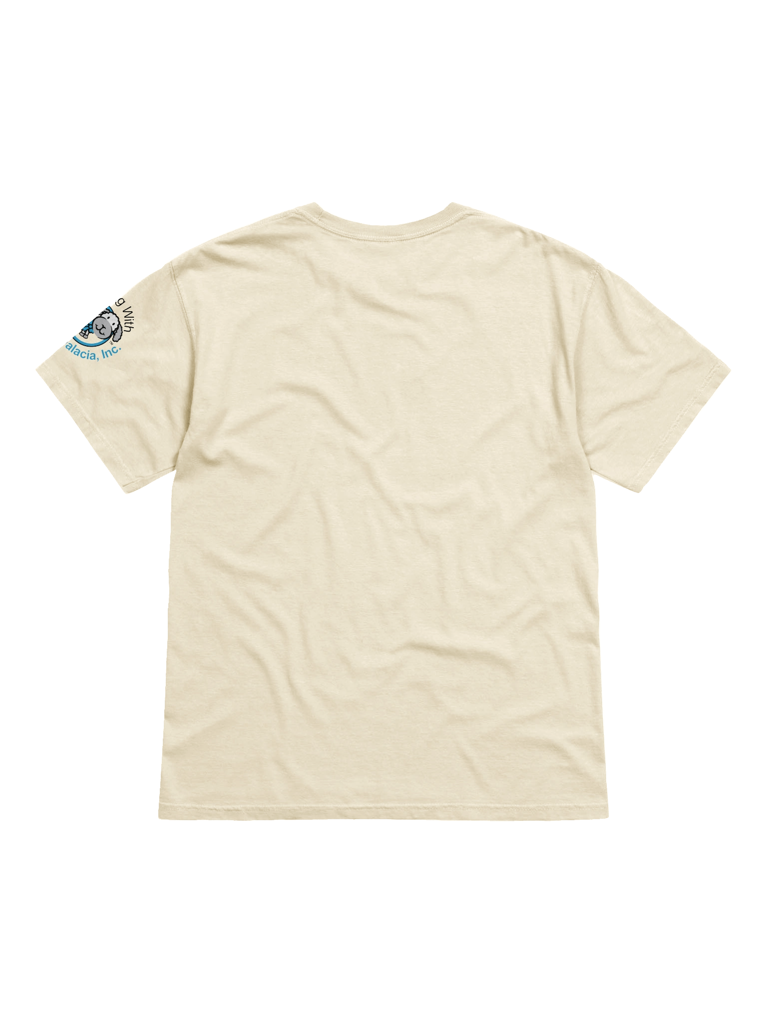 Airway Day 2025 T-Shirt product image (2)