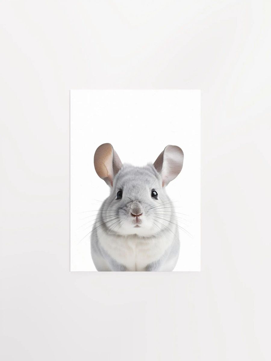 Cute Chinchilla Print product image (3)
