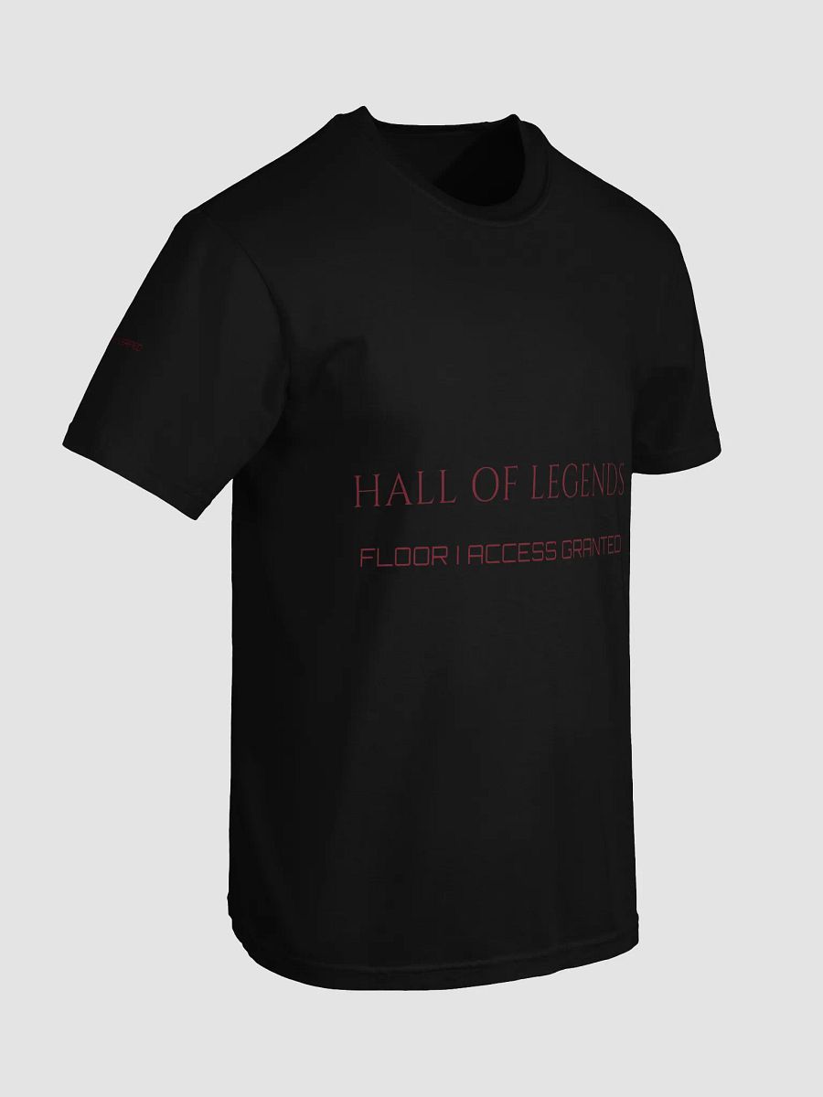 HALL OF LEGENDS: FLOOR I ACCESS product image (7)