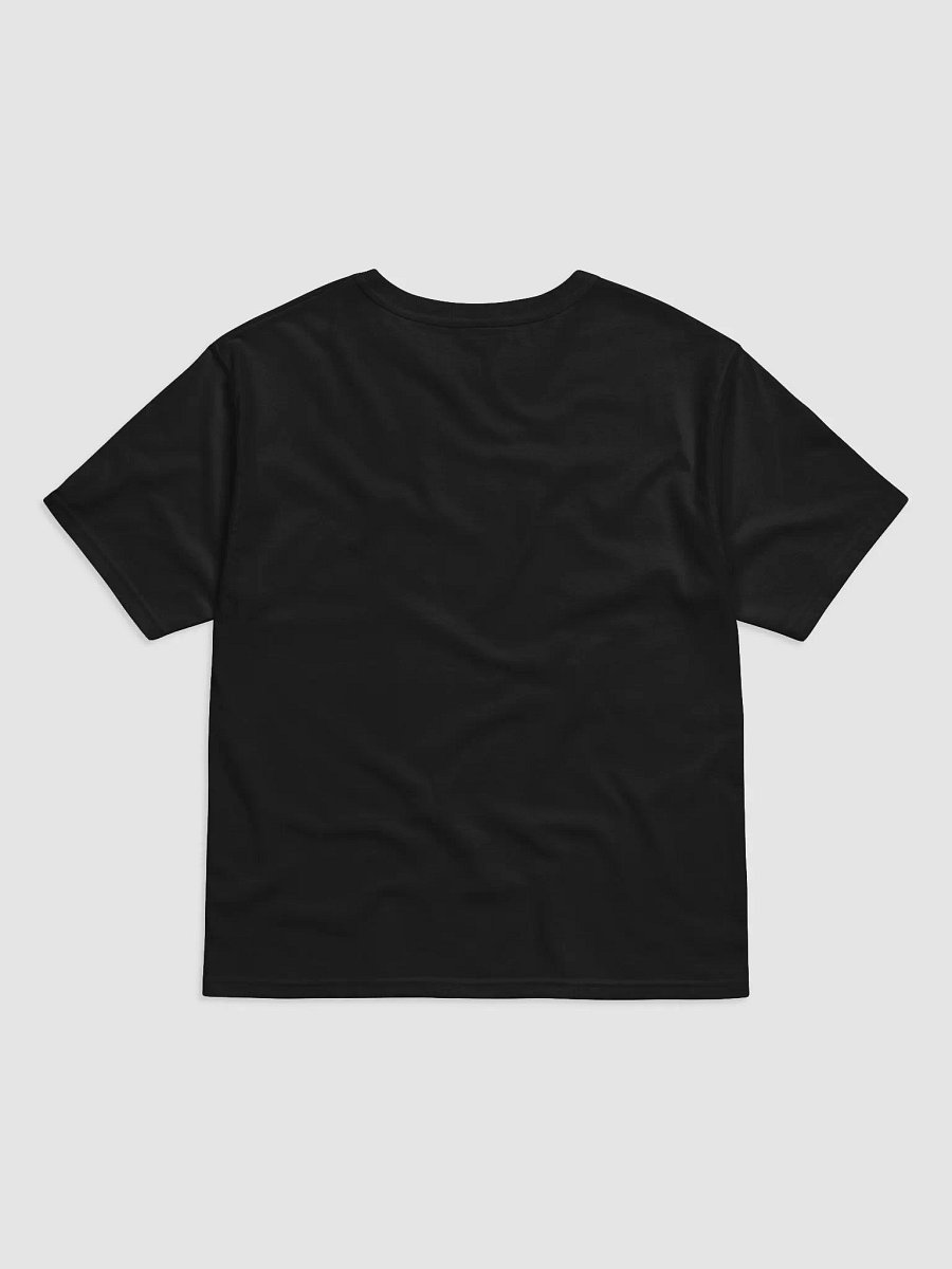 Pirate 6 Champion T-Shirt product image (23)