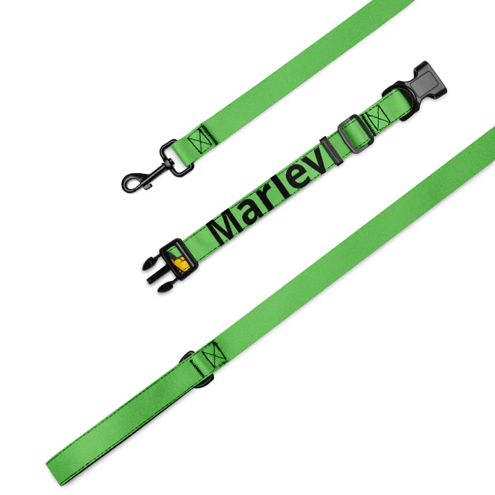 Apocalyptic Death Squad Dog Leash/Collar product image (4)