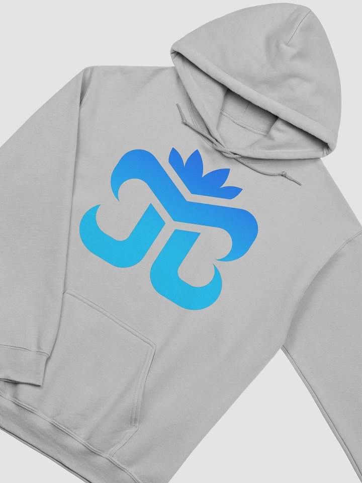JB Logo Hoodie (Blue) product image (2)