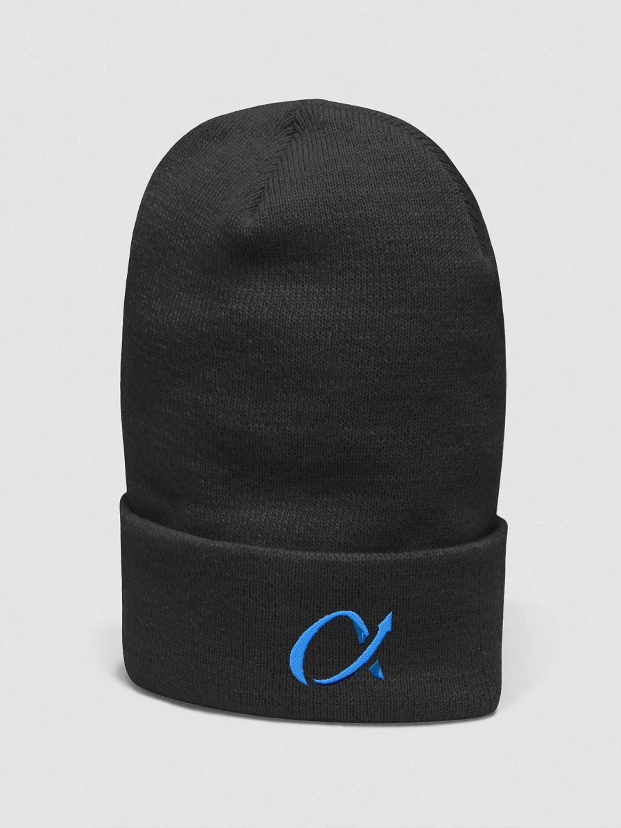 Alphatrends Logo Beanie product image (3)