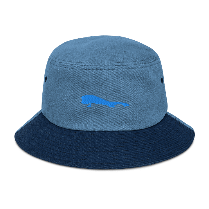 jean sea eater hat color:teal product image (1)