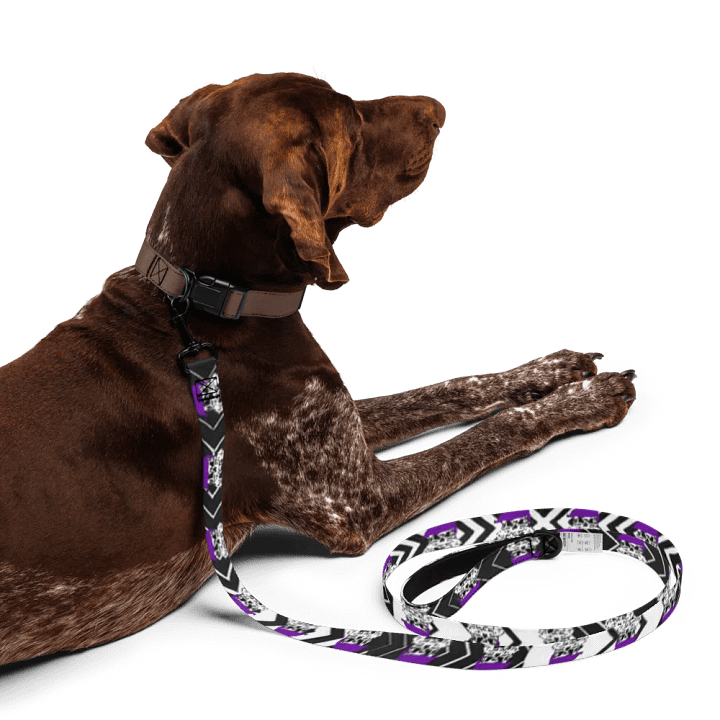 Enigma Nation Pet Leash product image (2)