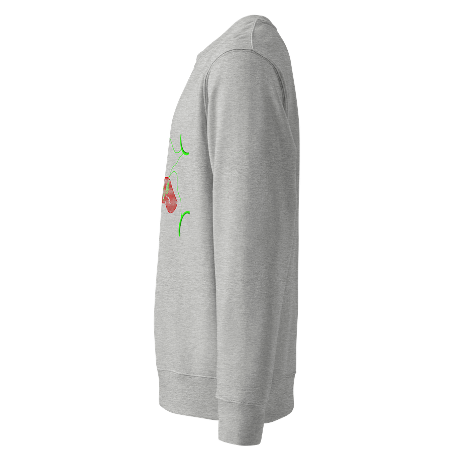 Galactic Gamer Organic Sweatshirt product image (3)