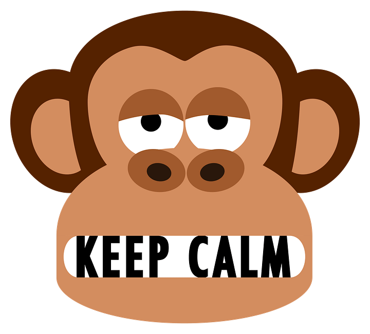 Bored Monkey Tells You To Keep Calm T-Shirt product image (2)