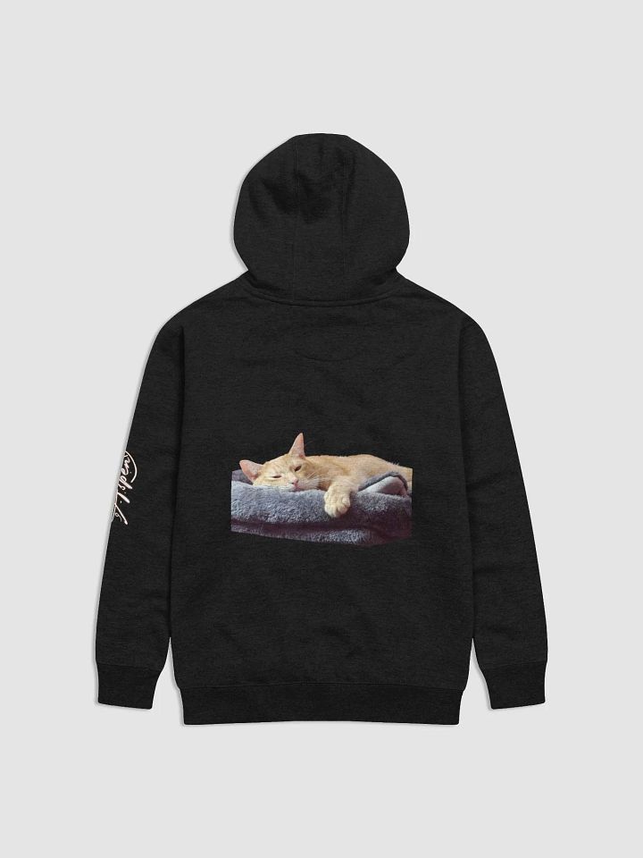 Team Otis Hoodie product image (2)