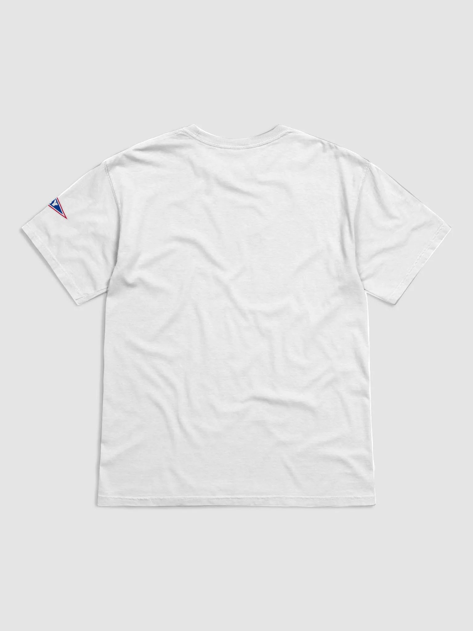 Buffalo Football Tee product image (19)