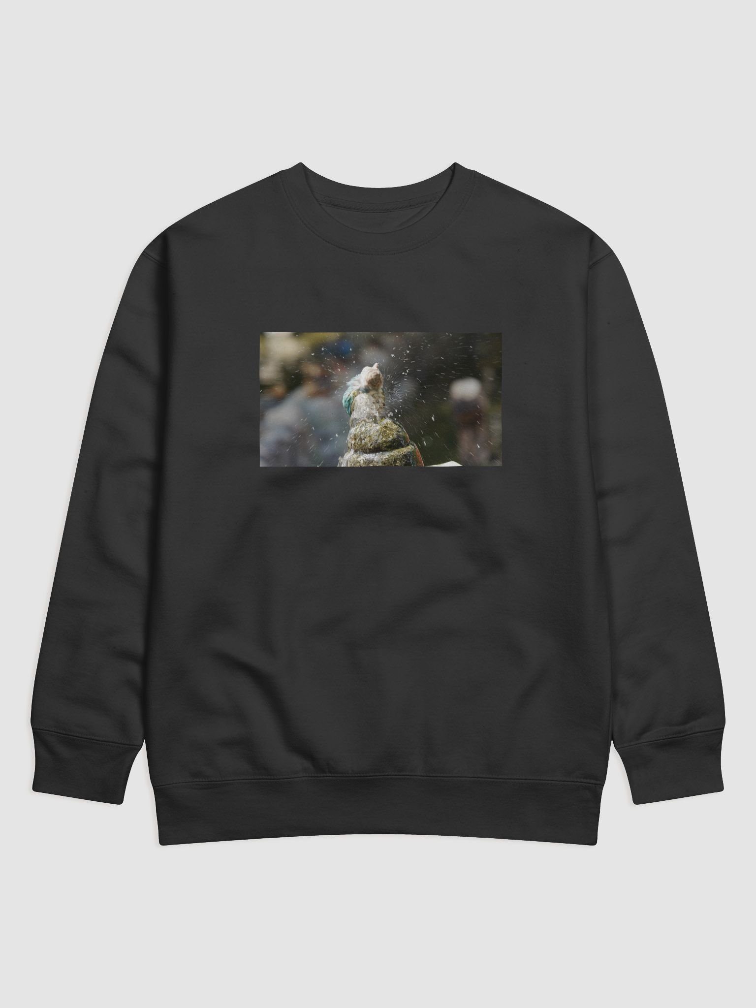 Dynamic Bird Shake Premium Sweatshirt product image (1)