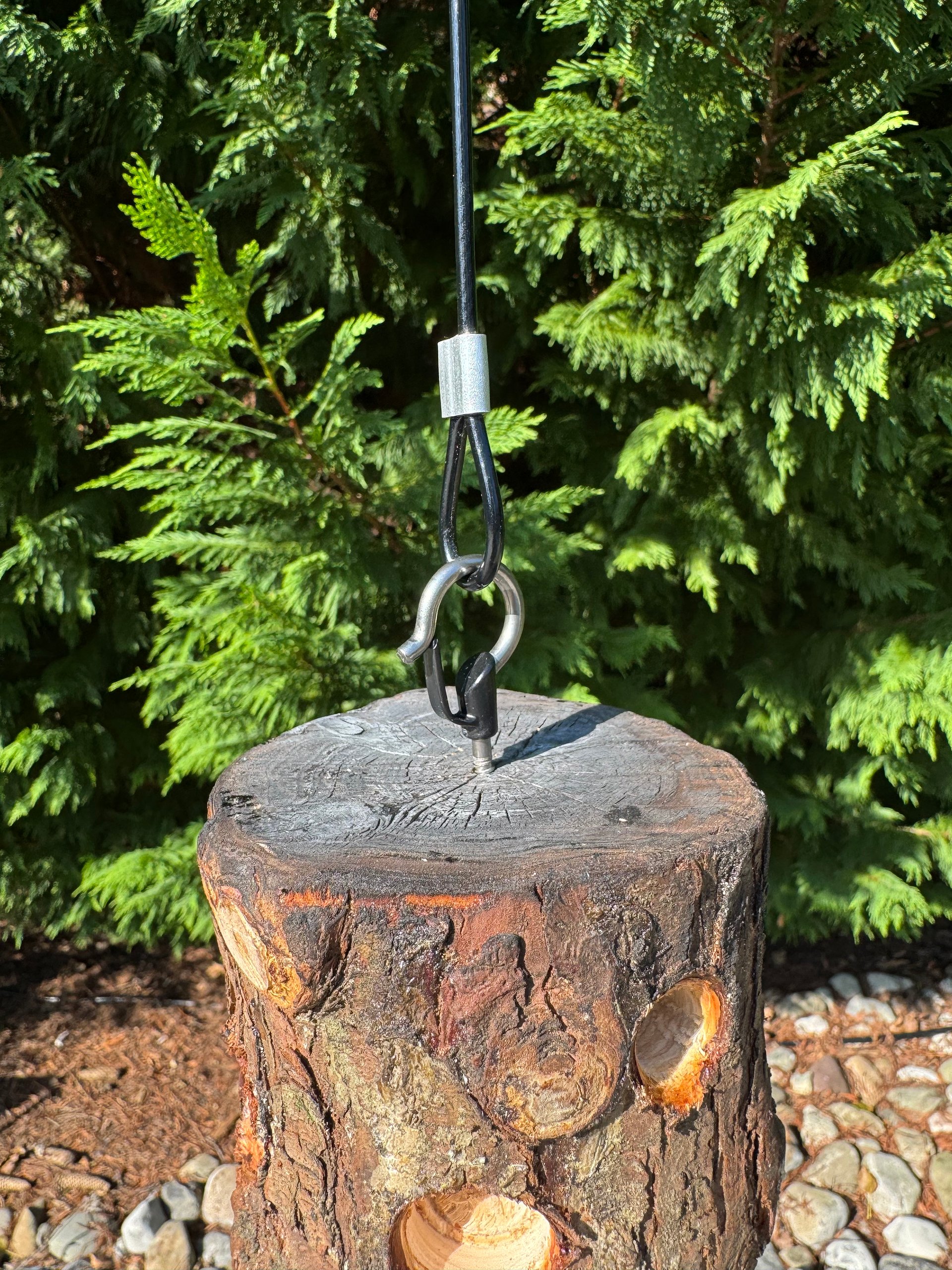 Premium Suet Log - Live Cut product image (4)