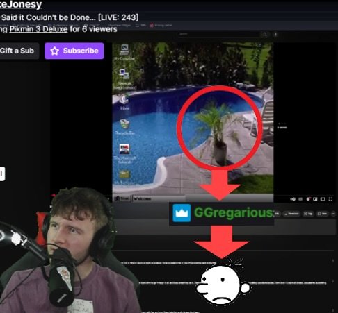 Greg will hate me for this one…

#memes #nintendo #twitch #diaryofawimpykid