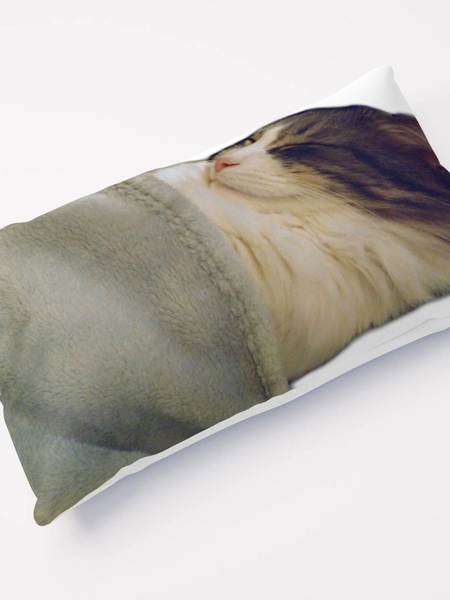 Smokey & Zoey Sleepy Pillow product image (4)