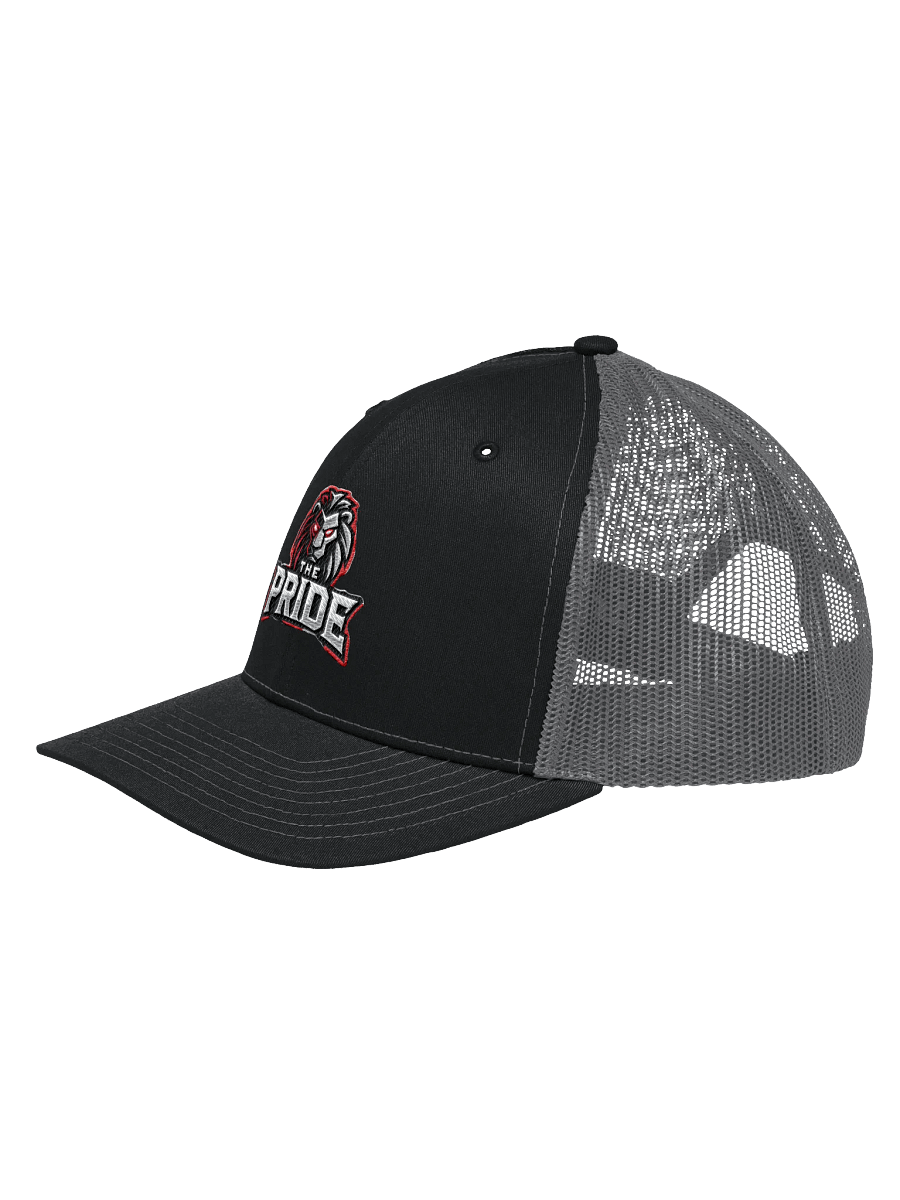 The Pride Hat product image (20)