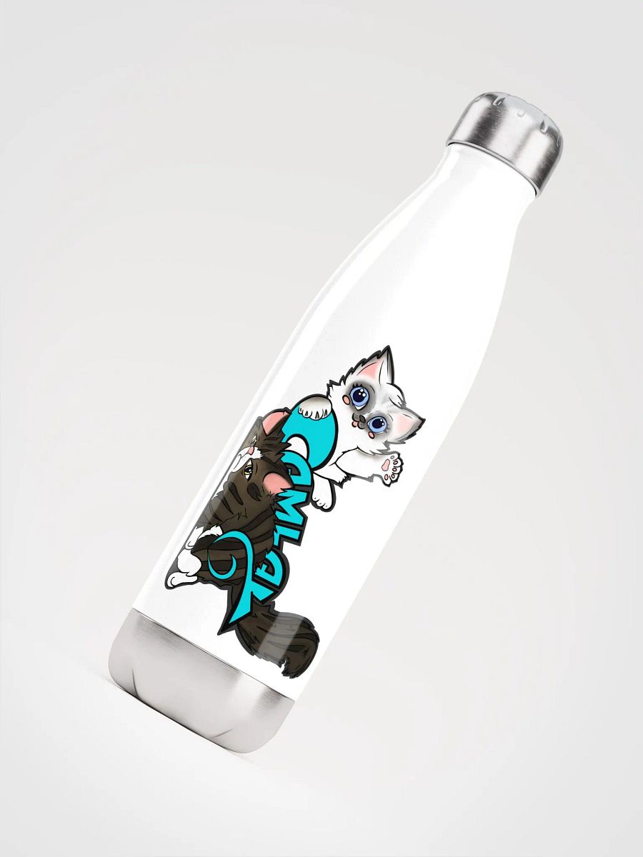 Stainless Steel Water Bottle product image (10)
