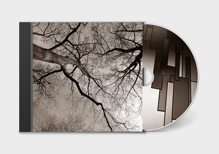 Branches - CD product image (2)