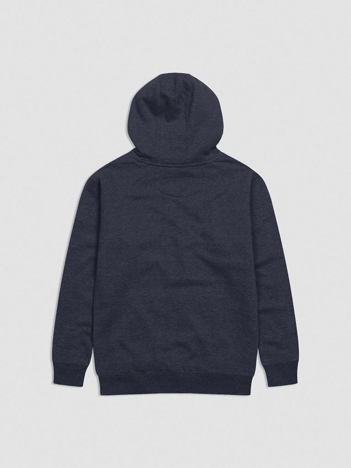 DROP DAY EMBROIDERED HOODIE product image (2)