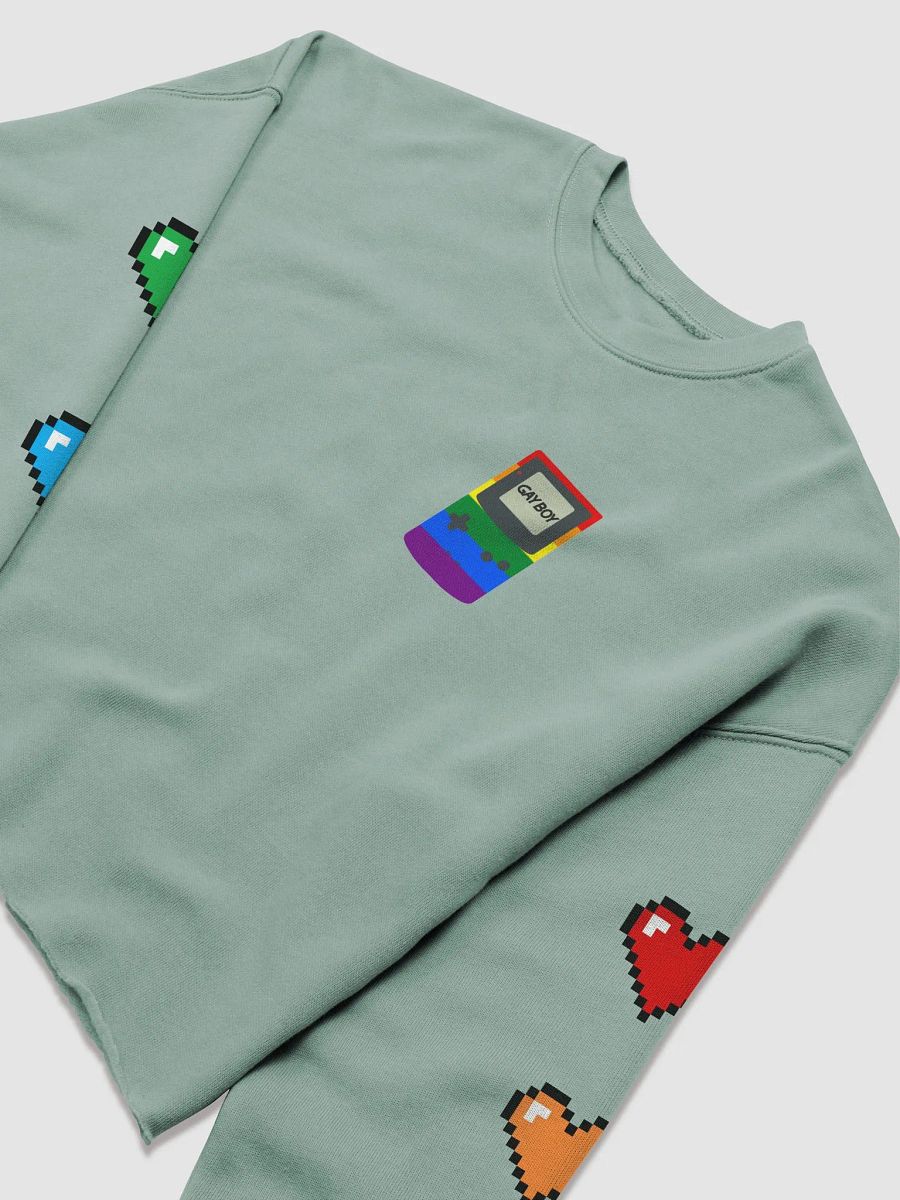 Gayboy Crop Sweater product image (8)