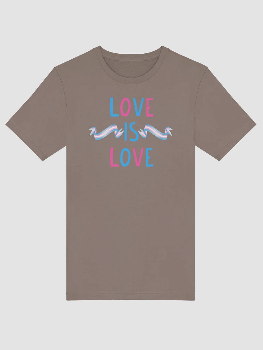 Love is Love T-Shirt product image (29)