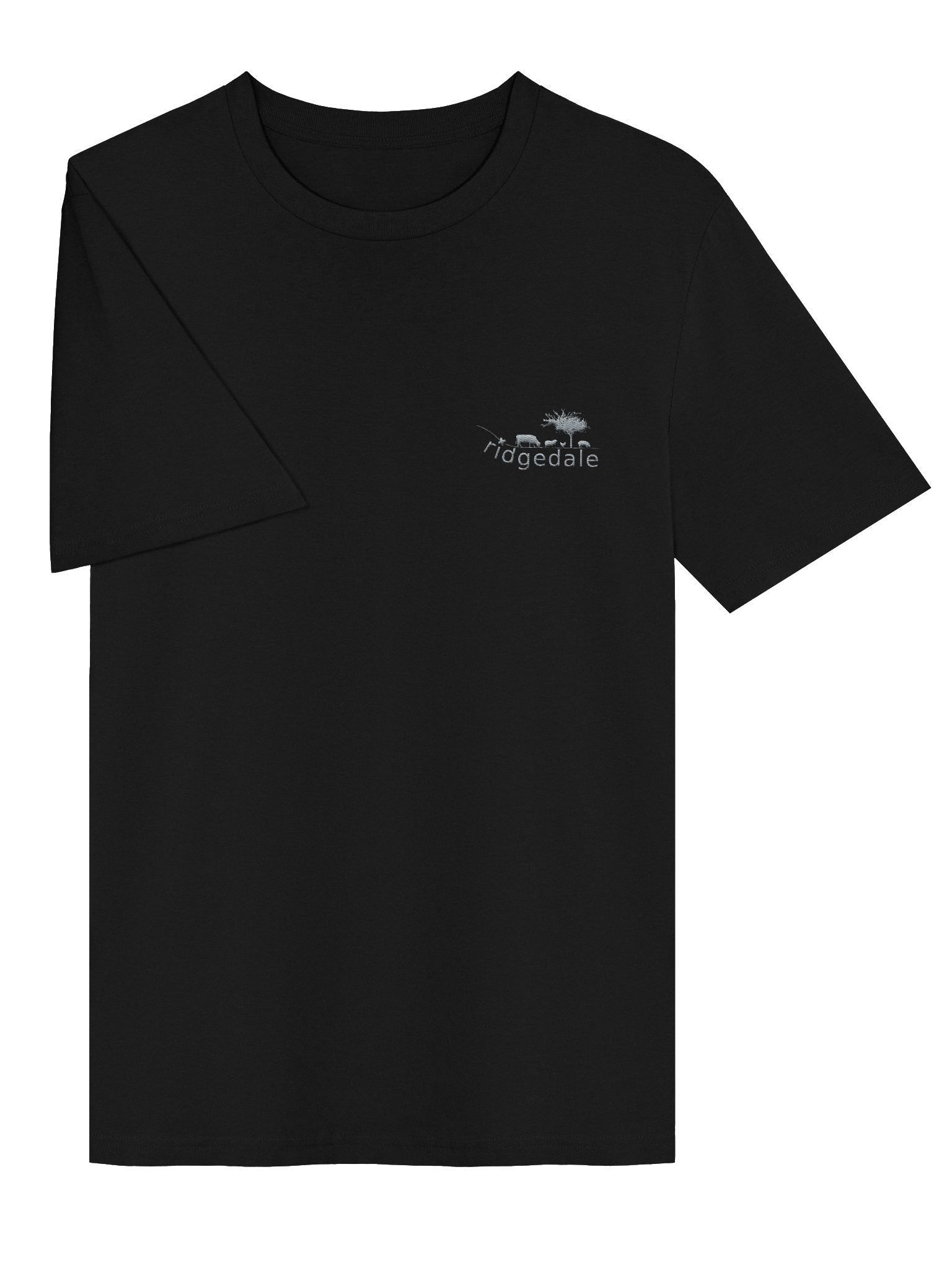 Ridgedale Organic T Shirt Black product image (3)