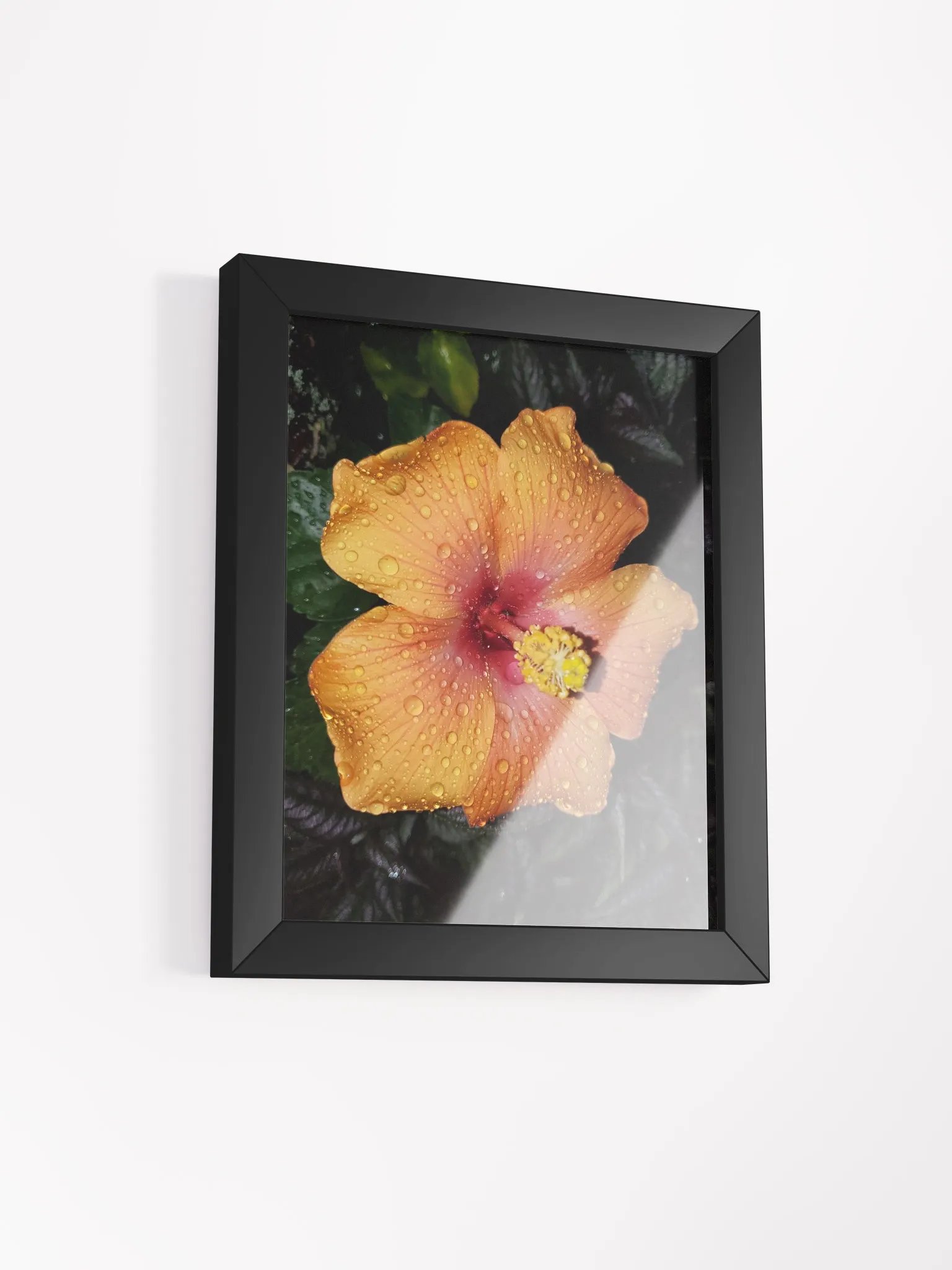 Rain Droplet Adorned Hibiscus Art Print product image (12)