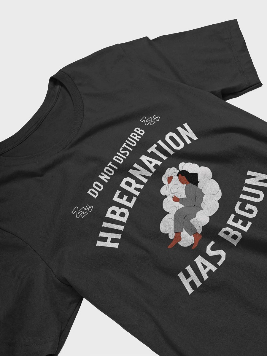 Do Not Disturb: Hibernation Has Begun Shirt product image (16)