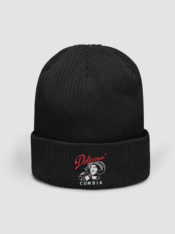Deliciosa Cumbia Ribbed Beanie | Embroidered product image (1)