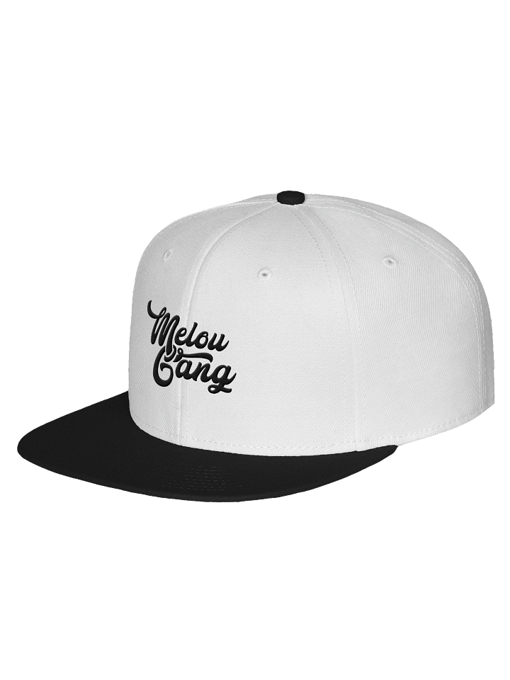 Melou Gang Snapback product image (8)