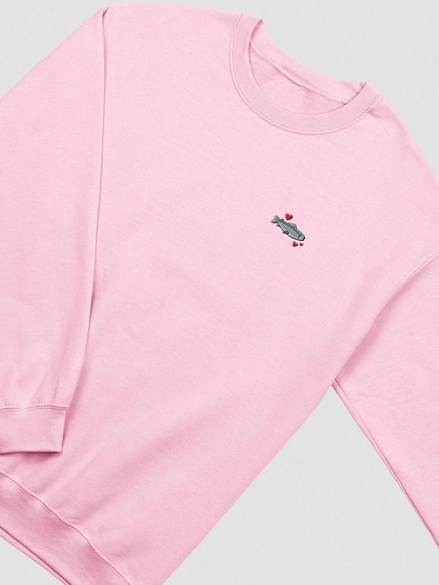 actually salmon embroidered crewneck product image (10)