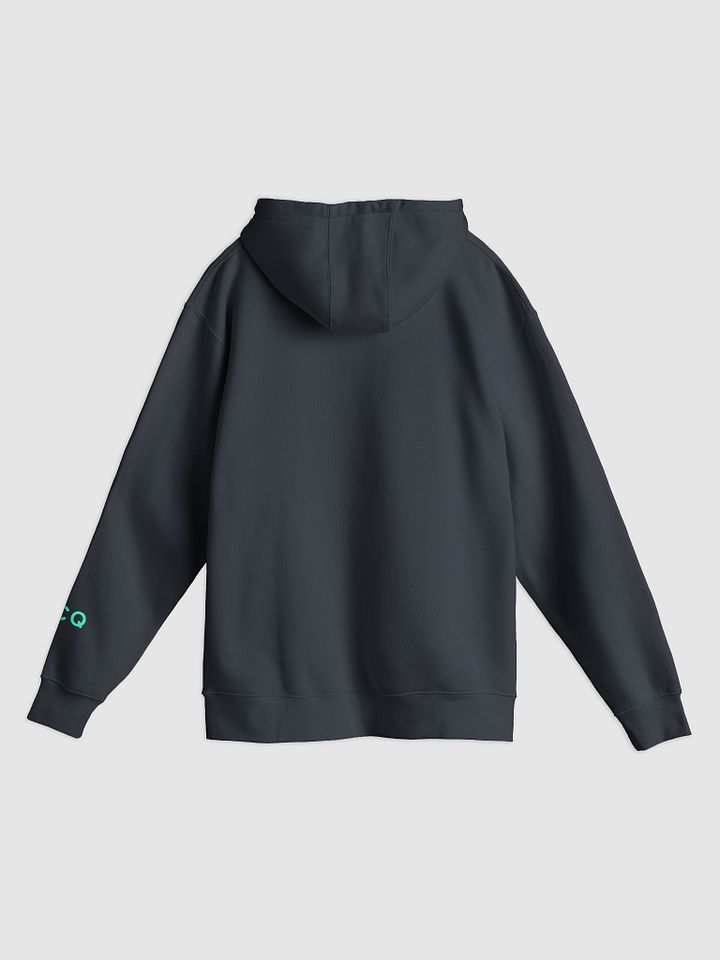 Benchmark Hoodie product image (2)