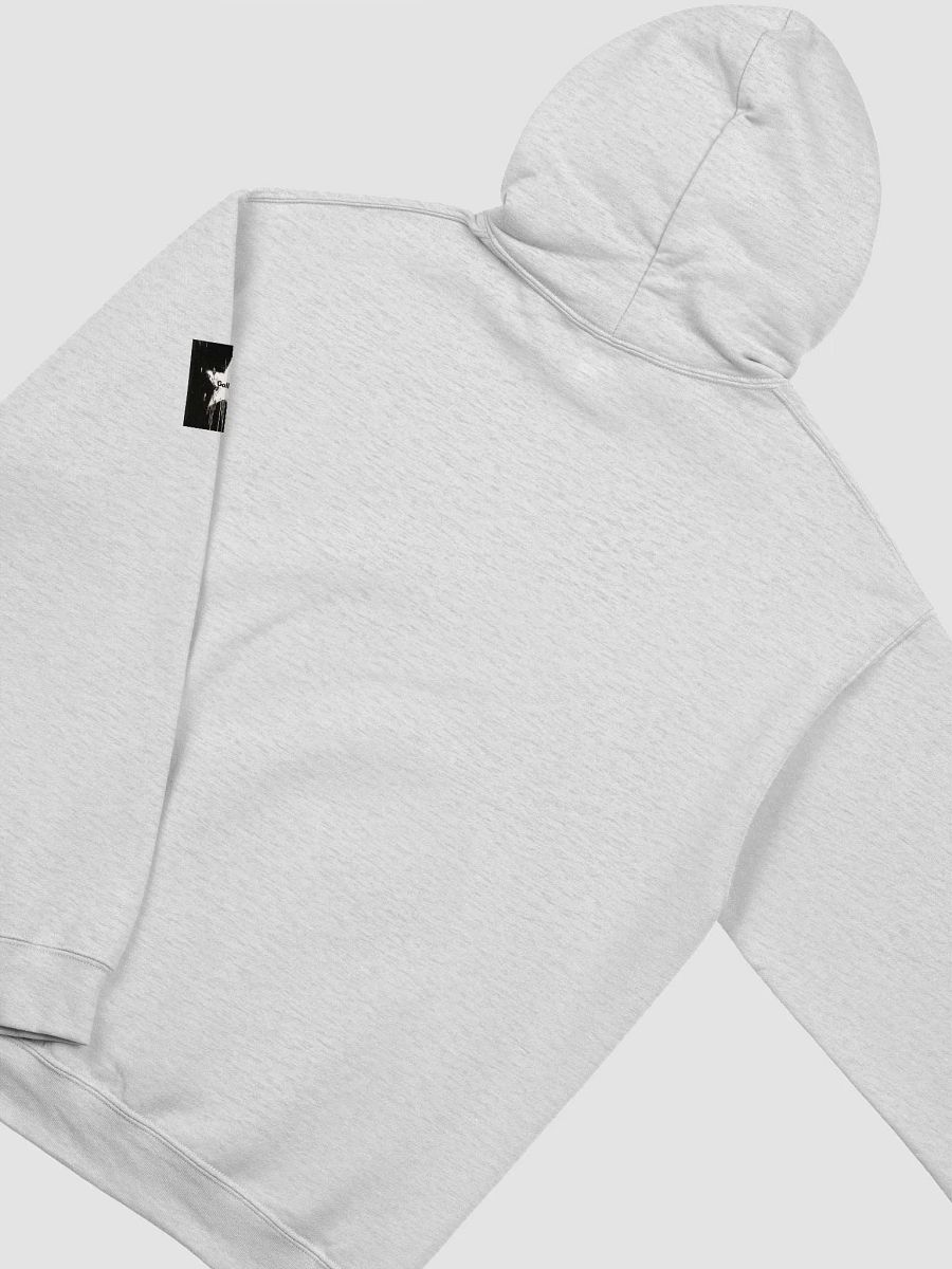 Gallus Hoodies product image (4)