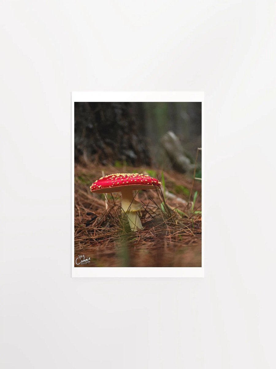The Fae Wild - Print product image (1)