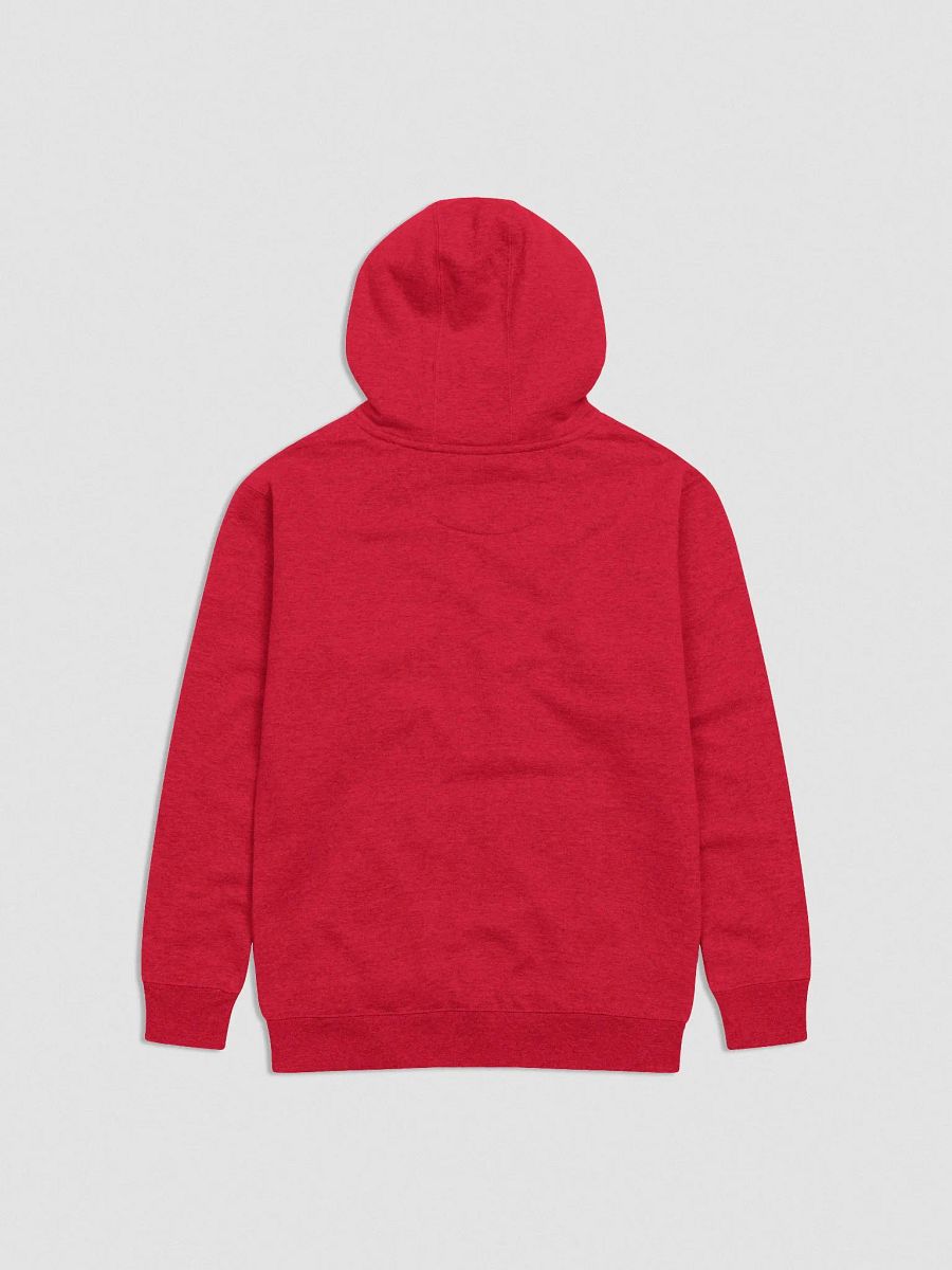 BiS Juliette Embroidered Hoodie (zzZ) +12 Alt. Colors product image (3)