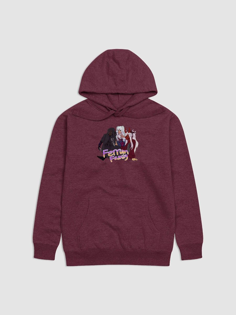 Ferrum Family Hoodie product image (1)