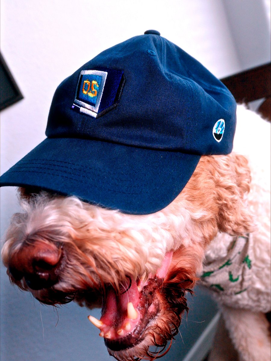 CRT Cap product image (5)