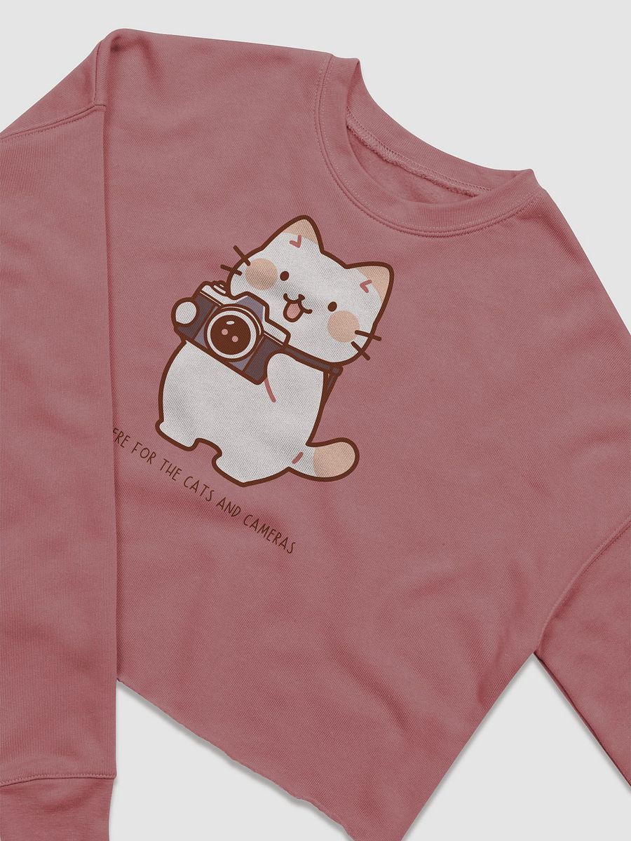 Cats and Cameras Cropped Sweatshirt product image (11)